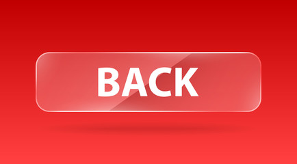 vector glass button back