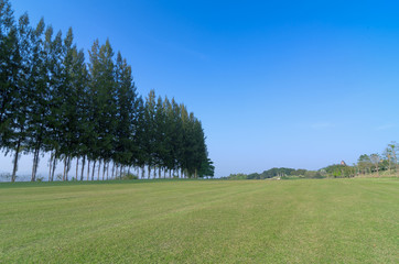 Golf course