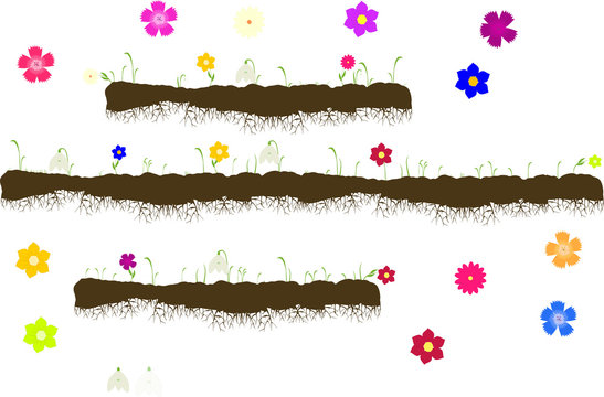 Vector With Ground With Roots,growing Grass With Flowers