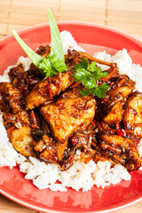 Sweet and sour pork and rice