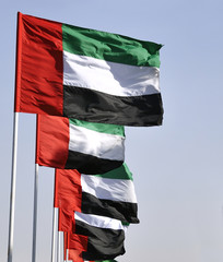 Fototapeta premium Flags of the United Arab Emirates