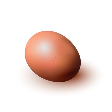 realistic picture of fresh eggs for Easter