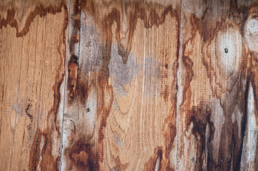  texture old wooden