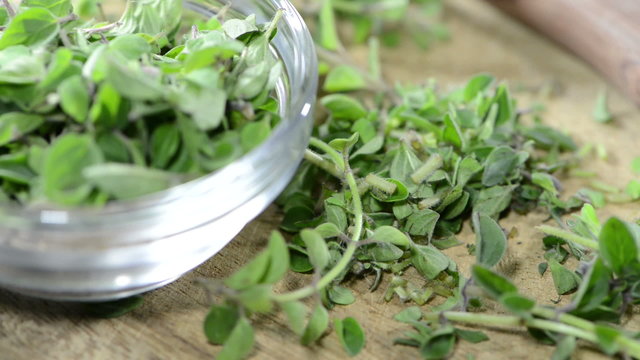 Portion of fresh Oregano (loopable)