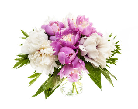 Peony Flower Bouquet Isolated