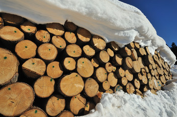 Dolomiti, Trentino  Alto Adige, neve e legno di abete