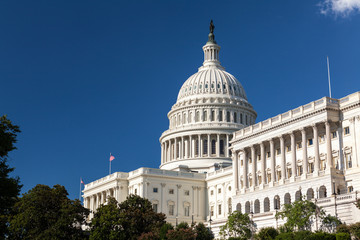 United States Capitol Building, Washington, DC - obrazy, fototapety, plakaty