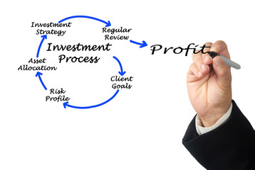 Investment process