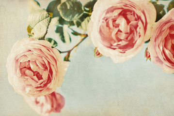 Vintage roses. Retro. Greeting card - 62552271