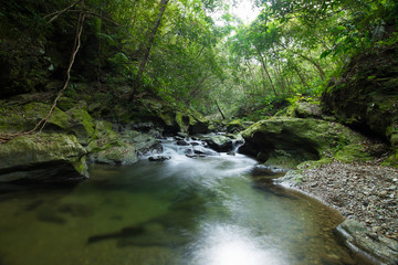 Obraz premium Czysty strumień na Okinawie (rzeka Okuma)