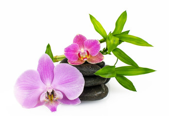 Orchids, stones and bamboo :)