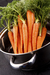 Fresh kitchen garden carrots on the wooden background