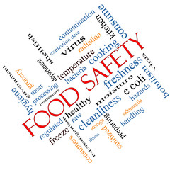 Food Safety Word Cloud Concept Angled