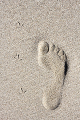 Footprints on the sand