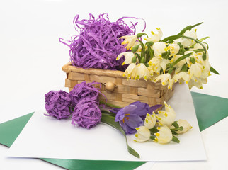 First spring flowers, snowdrops in basket.
