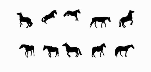 Horse Runs, Hops, Gallops Isolated on White Background