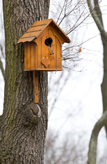 Beautiful wooden birdhouse