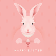 Easter Bunny - vector illustration - egg pattern background - 62562645