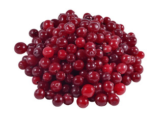 Heap of fresh red cranberries