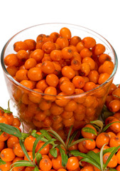Sea-buckthorn berries