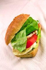tomaten-mozzarella brötchen