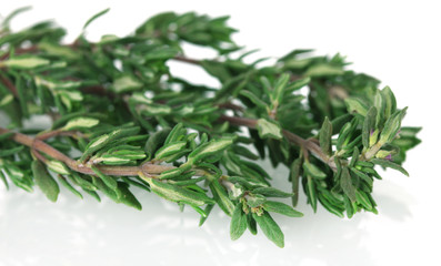 fresh green thyme isolated on white