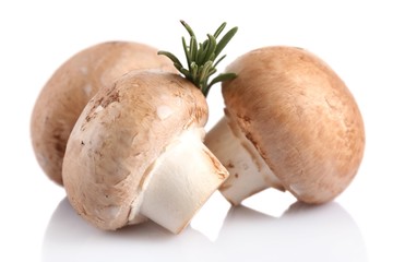 Fresh mushrooms isolated on white