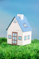 Little house on green grass, on bright background