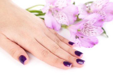 Beautiful woman hand with flowers isolated on white