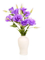 Naklejka na ściany i meble Purple artificial eustoma in vase isolated on white