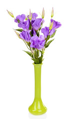 Purple artificial eustoma in vase isolated on white