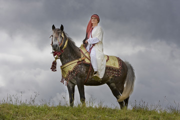 Berber Pferd
