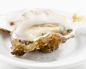 Fresh oyster on a white plate