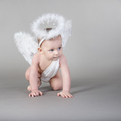 Infant with angel wings and nimbus on neutral background