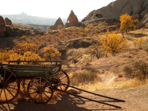 Wild West Wagon