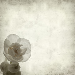 textured old paper background