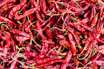 Fototapeta premium dried red chilli pepper isolated white background