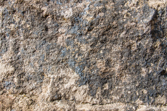 Jurassic Lime Stone Background