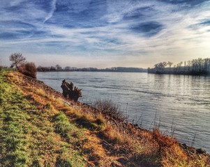 Auf einem Damm am Rhein