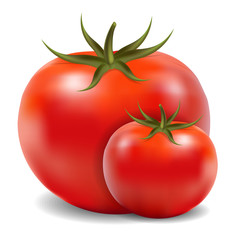 Two tomatoes isolated on white