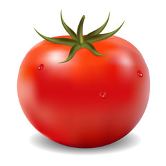 Tomato