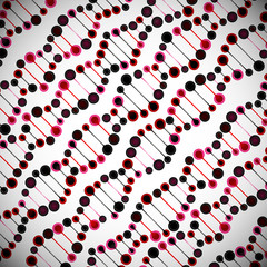 beautiful structure of the DNA molecule