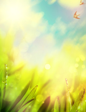abstracts of natural spring background