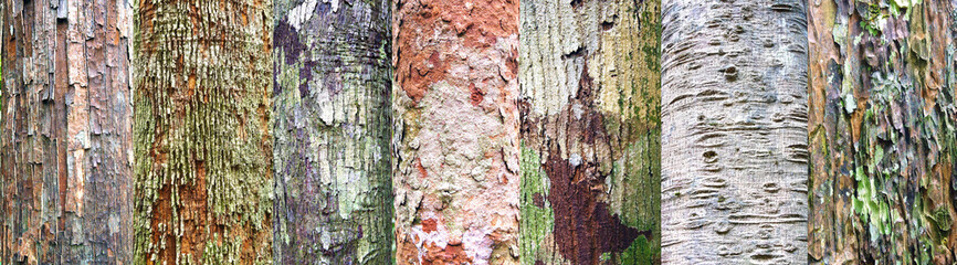 Collection of wood background.