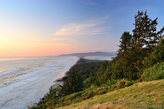 The Pacific coast. USA. Oregon. Cape Lookout State park
