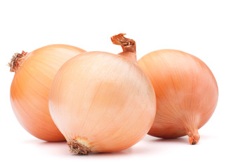 Fototapeta premium Gold onion vegetable bulbs
