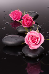 Spa stone and rose flowers still life. Healthcare concept.