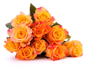 Yellow rose flower bouquet isolated on white background cutout