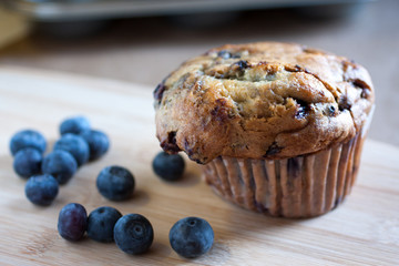 Wild Blueberry Muffin