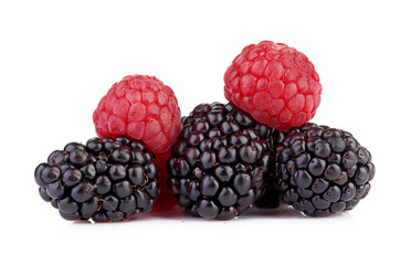 blackberry isolated on white